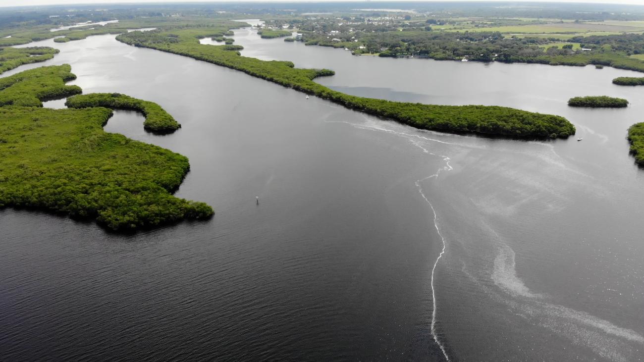 Minimum Flows for the Little Manatee River
